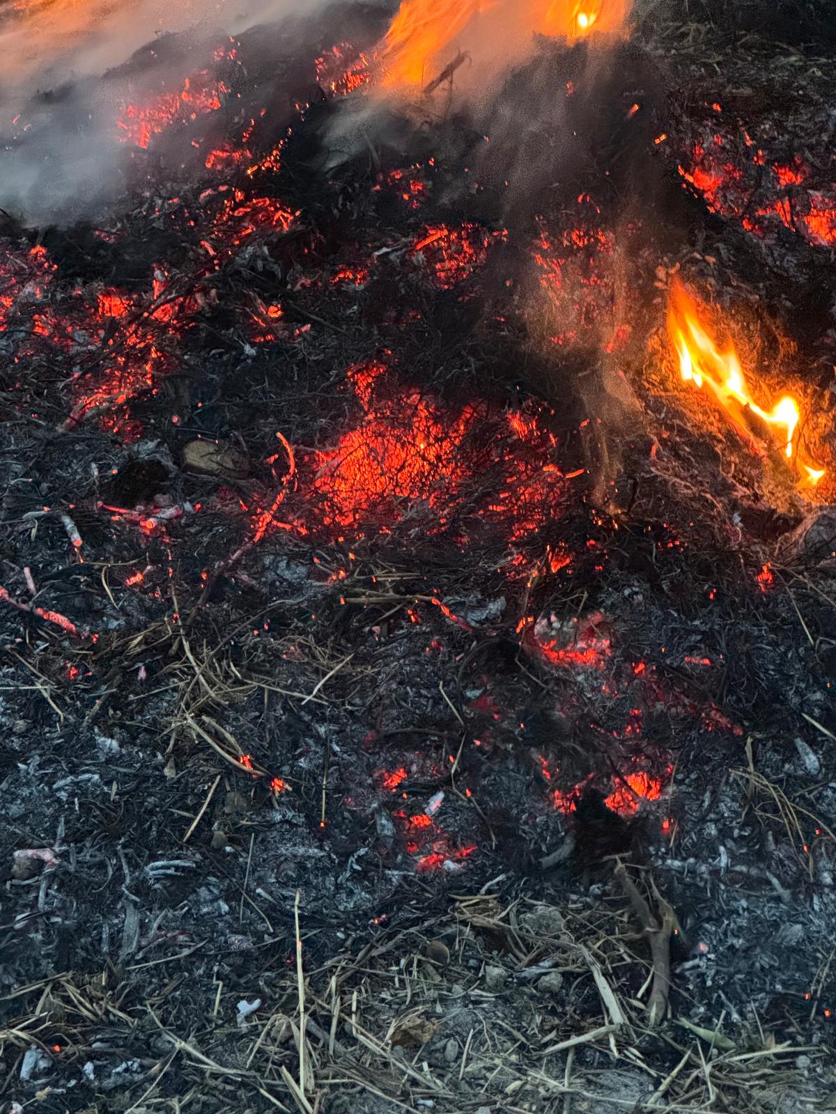 Mas del Drac Brasas firewalking