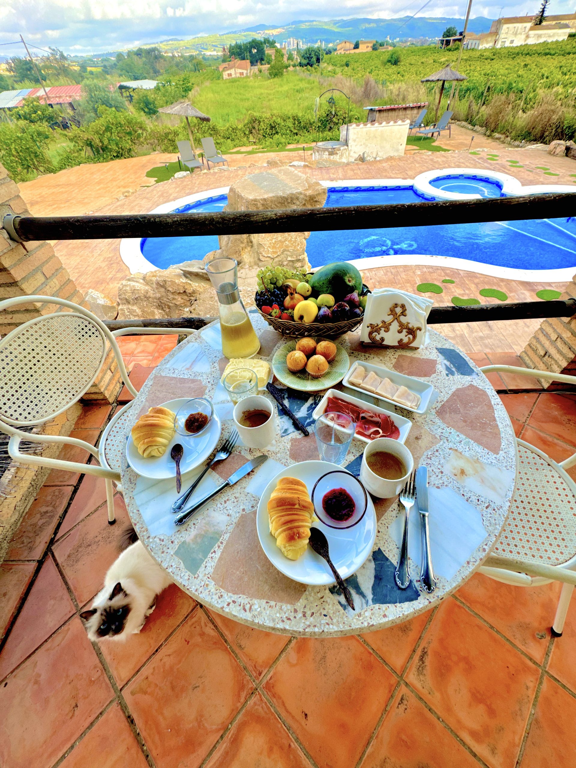 Mas del Drac Desayuno n2