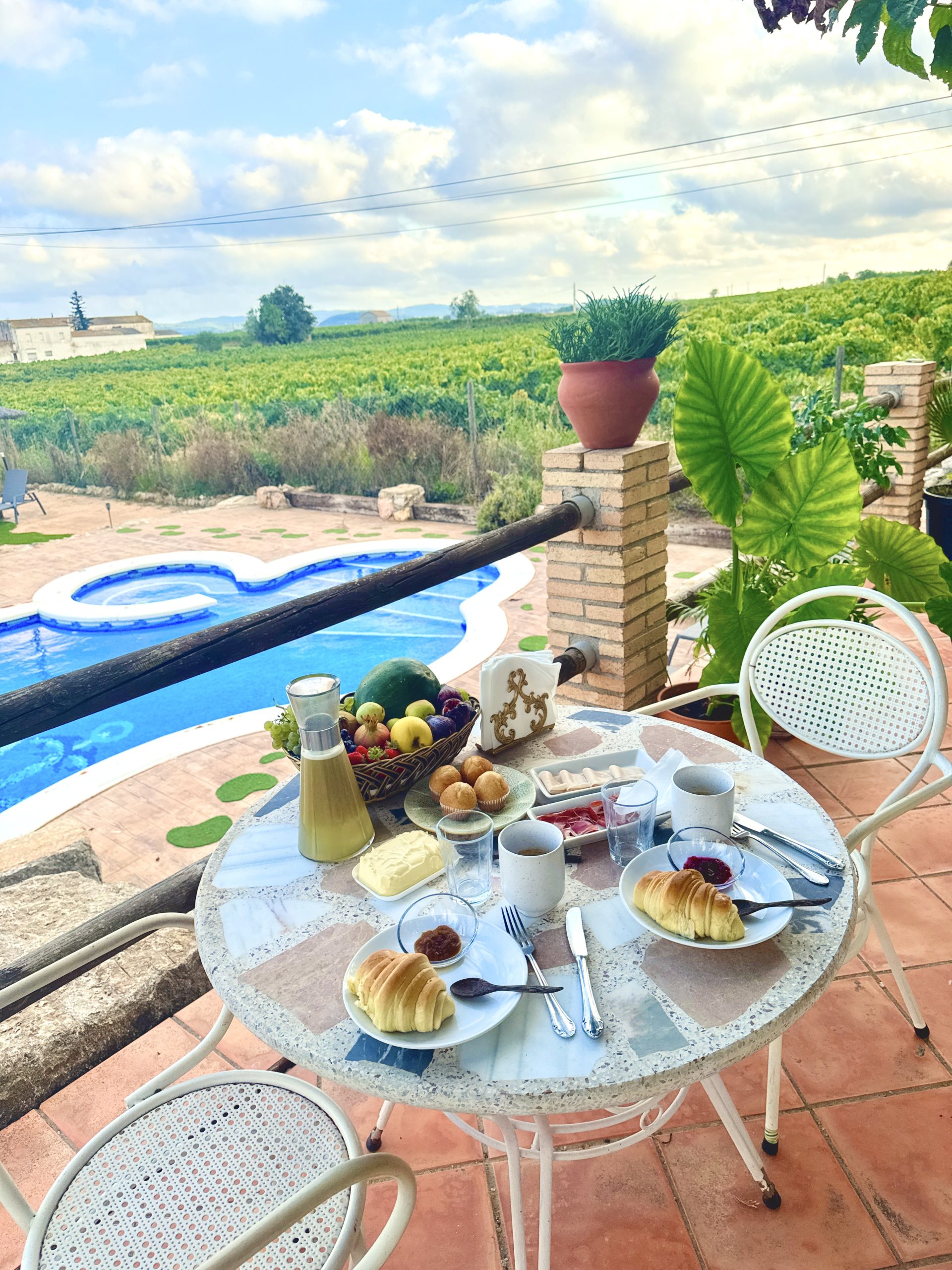 Mas del Drac Piscina Desayuno n2