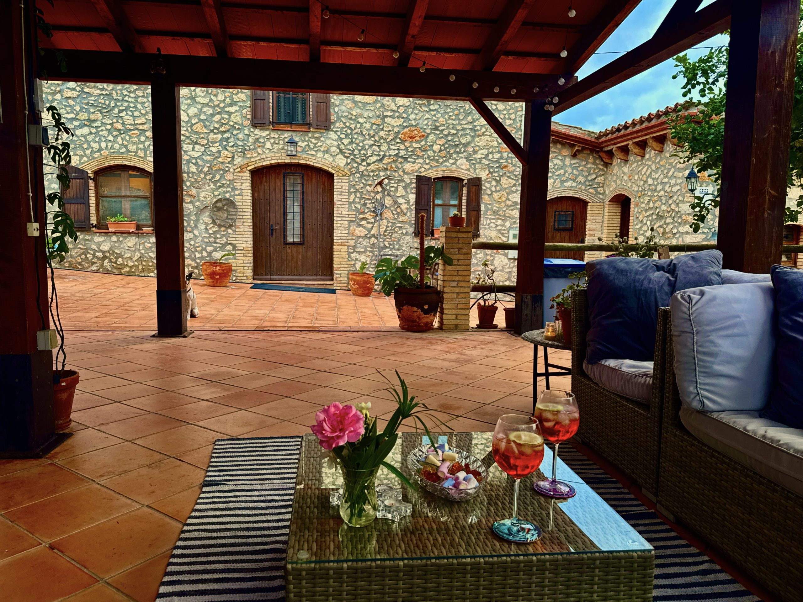 Mas del Drac Porche Terraza 6